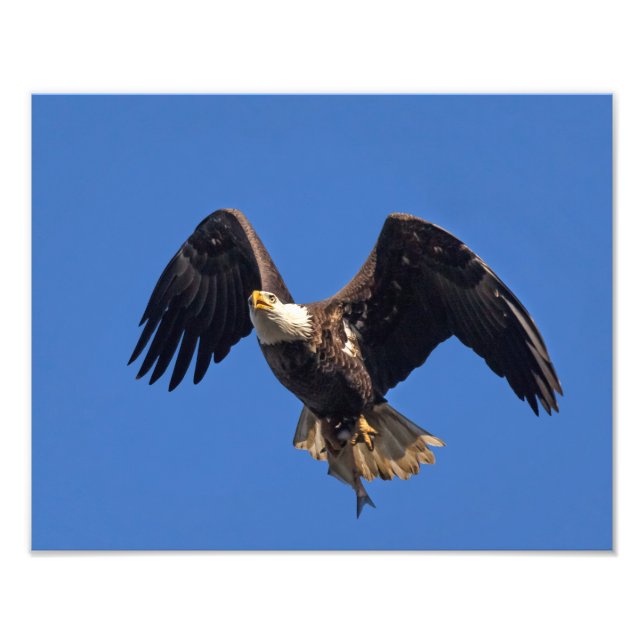 Lieferung der Waren Fotodruck (Vorne)