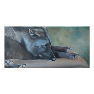 Liegender schwarzer Wolf-Kunst-Foto-Druck Fotodruck