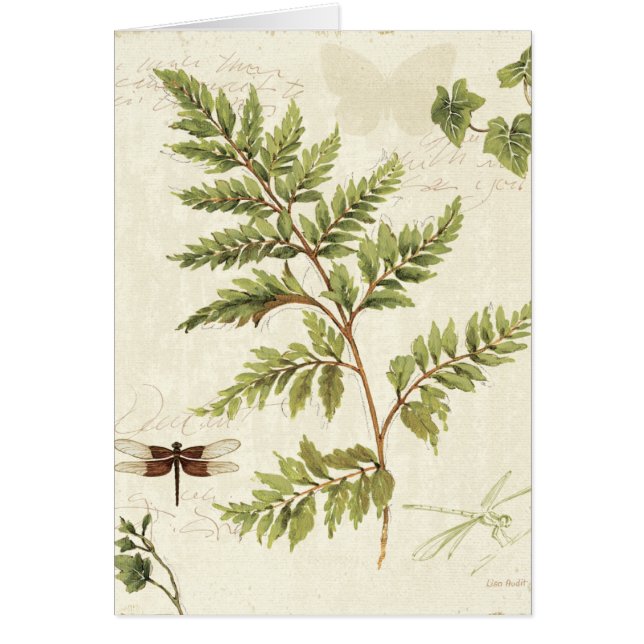 Lierres et fougères (Devant)