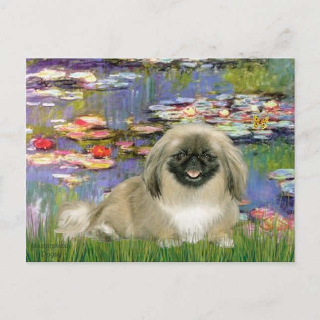 Lies 2 - Pekingese 1b Postkarte (Vorderseite)