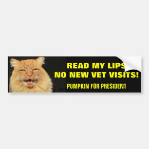 Lies mir die Lippen ... Pumpkin für den Präsidente Autoaufkleber
