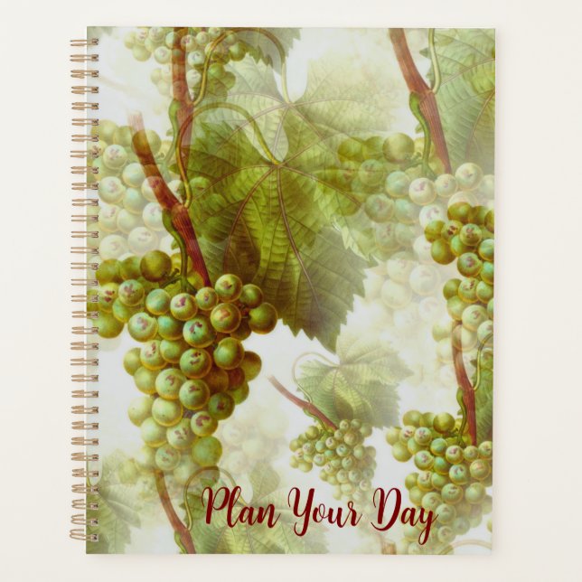 Life in Order: Daily, Weekly, Monthly Planner Planer (Vorderseite)