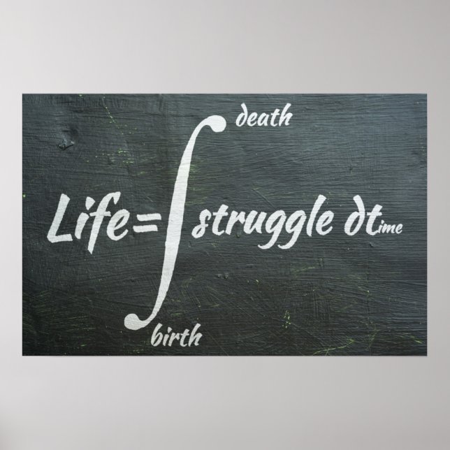 Life Integral - Math Poster (Vorne)