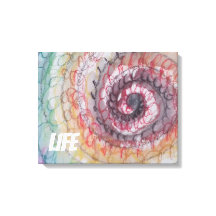 LIFE WALL ART DRINT VON KÜNSTLER PAULA REILLY.