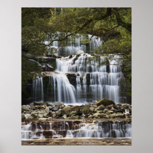 Liffey Fall-Staats-Reserve nestled innen Poster