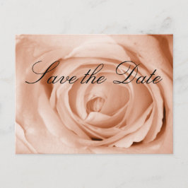 Light Apricot Save the Date Ankündigungspostkarte