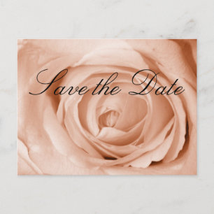 Light Apricot Save the Date Ankündigungspostkarte