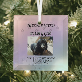 Light Beyond the Rainbow Tribute Ornament Aus Glas