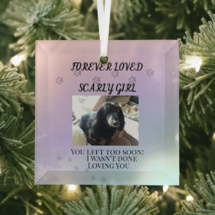 Light Beyond the Rainbow Tribute Ornament Aus Glas