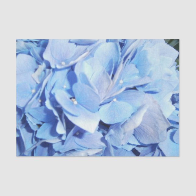 Light Blue Hydrangea Seidenpapier (Vorderseite)