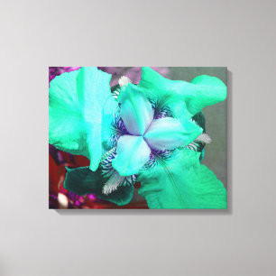 Light Blue Iris Leinwand