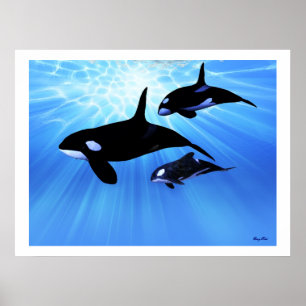 LIGHT ECHO DRUCKEN POSTER