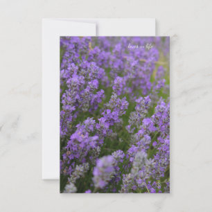 Light Lavender Pflanze Mitteilungskarte