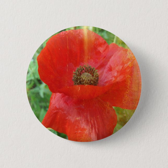 Light Leaks Red Poppy Button (Vorderseite)