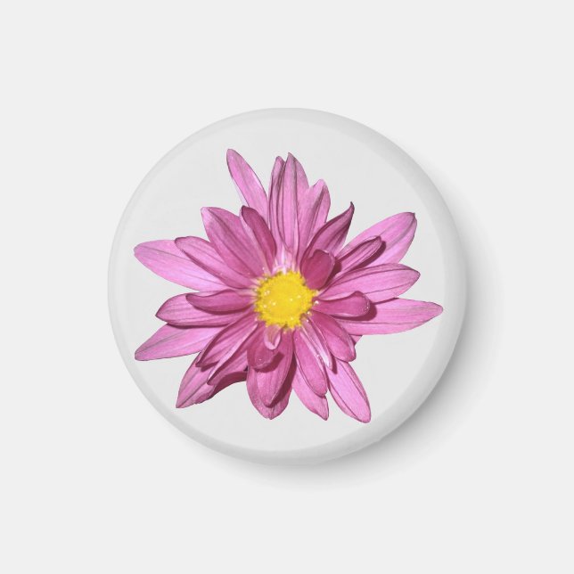 Light Lila Gerbera Magnet (Vorne)