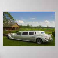 Light limousine in the meadow