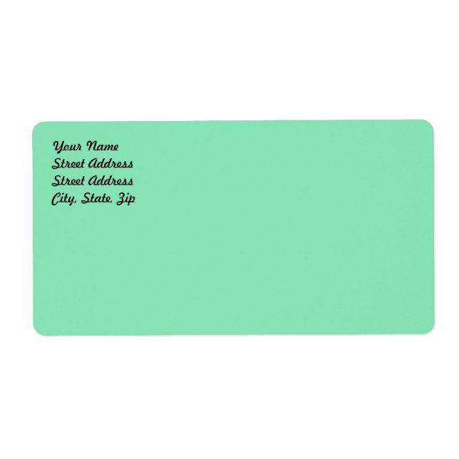 Light Pastel Minze Green Shipping Label (Vorne)