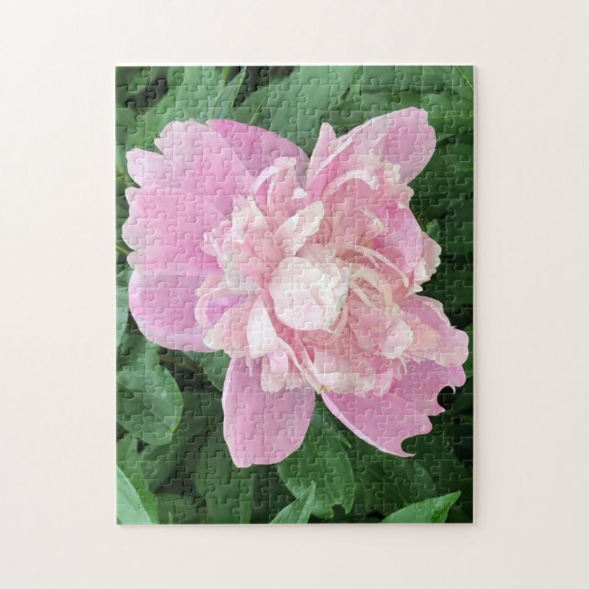 Light Pink Peony Jigsaw Puzzle (Vertikal)
