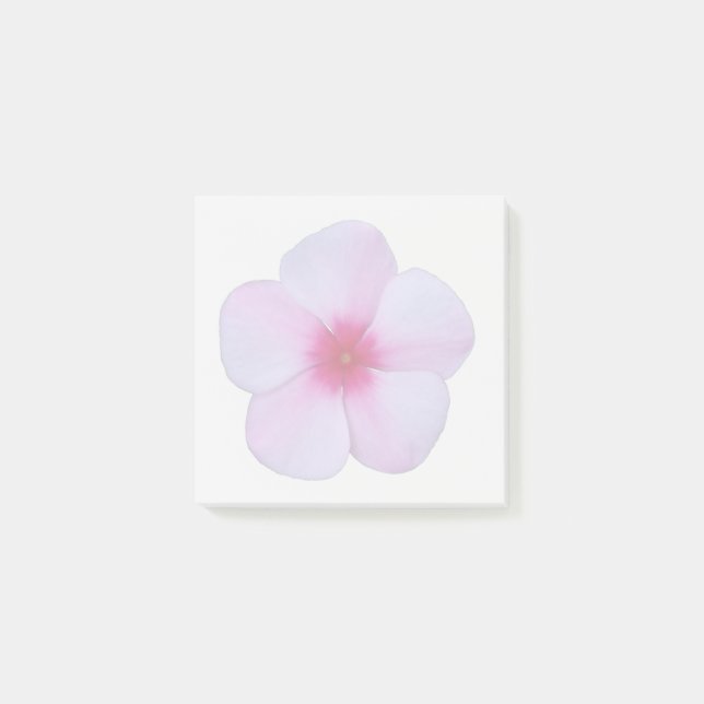 Light Pink Phlox Sticky Notes Post-it Klebezettel (Vorderseite)