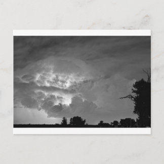 Light Show Black and White Postkarte
