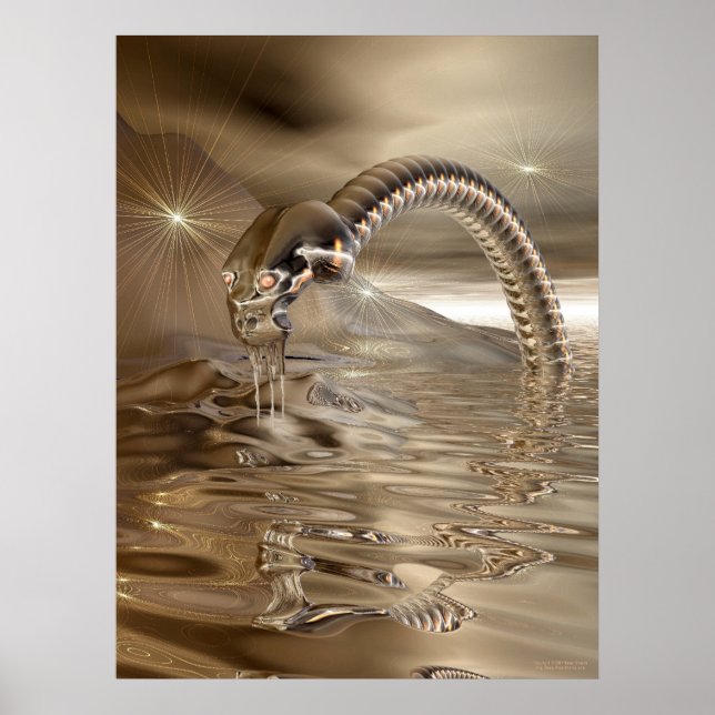 Lightcatcher Poster (Vorne)