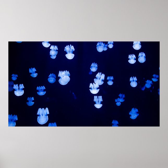 LIGHTED LANTERNS POSTER (Vorne)