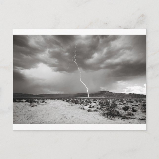 Lightning Joshua Tree B&W Postkarte (Vorderseite)