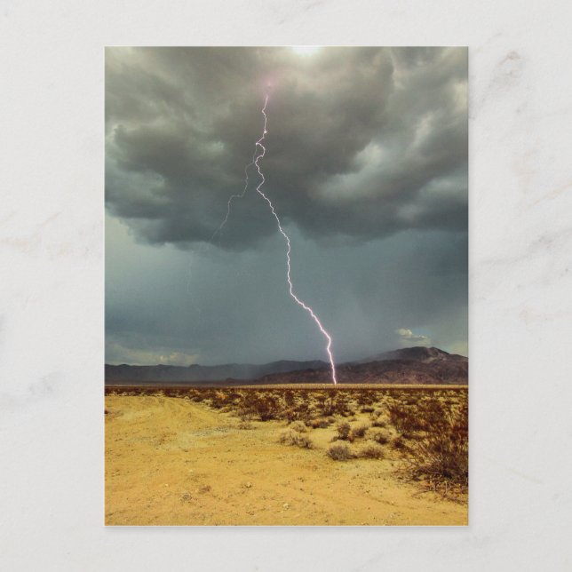Lightning Joshua Tree Color Postkarte (Vorderseite)
