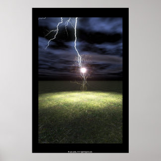 Lightning Strikes a Tree Poster