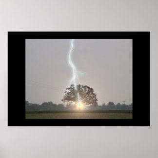 Lightning Strikes Oak Tree Poster