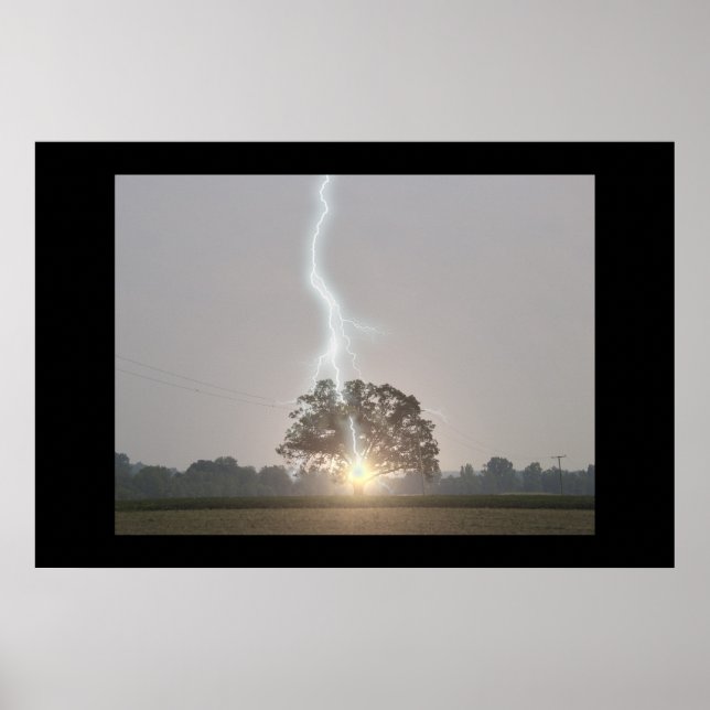 Lightning Strikes Oak Tree Poster (Vorne)