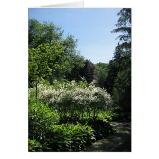 Ligne blanche