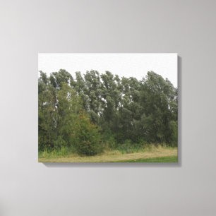 Ligne d'arbres penchés toile de paysage Imprimer