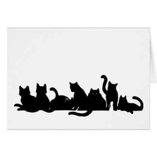 Ligne de chaton