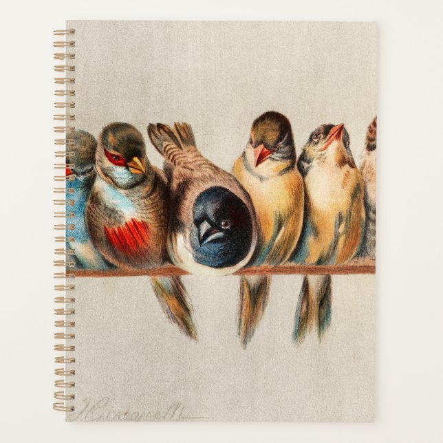 Ligne d'oiseaux et de colombes (Devant)