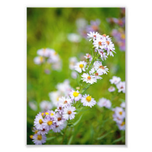 Ligne photo de beauté