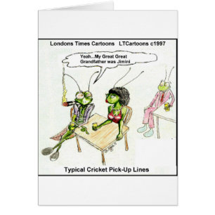 Lignes de ramassage de cricket amusantes