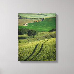 Lignes sinueuses dans la copie verte de toile de