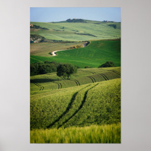 Lignes sinueuses en affiche verte de la Toscane
