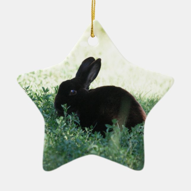 Lil Black Bunny Keramik Ornament (Vorne)