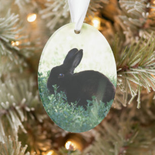 Lil Bunny noir