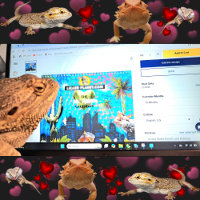 Lil' Murph Bartded Dragon Niedlich Collage I Spy S