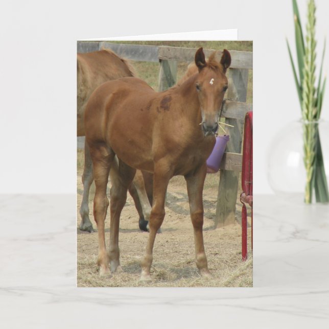 Lil' one karte (Vorderseite)