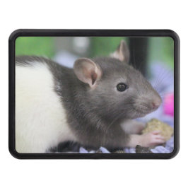 Lil rat abschlepphaken cover