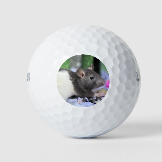 Lil rat golfball (Vorderseite)