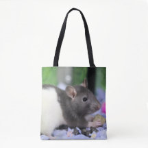 Lil rat