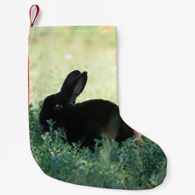 Lil schwarze Häschen-Rot-Rückseite Kleiner Weihnachtsstrumpf (Vorderseite)