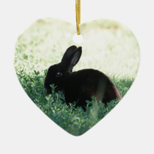 Lil schwarzes Häschen Keramikornament