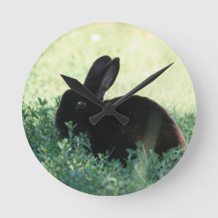 Lil schwarzes Häschen Runde Wanduhr