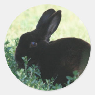 Lil schwarzes Häschen Runder Aufkleber
